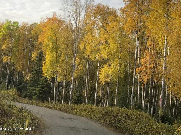 21564 W Bow Tie Loop, Willow, AK 99688