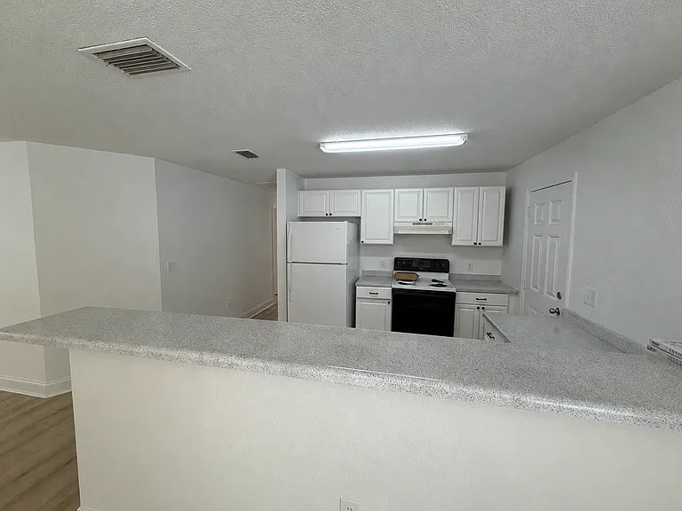 1335 W Lasalle St — Photo 2