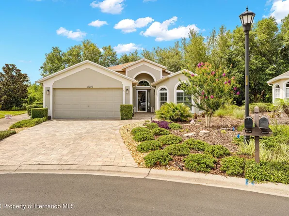 11750 Teapot Ct, Spring Hill, FL 34609