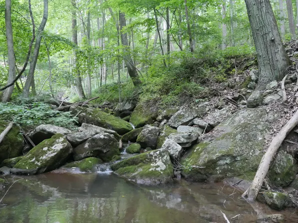 0 Wolf Creek Rd, Narrows, VA 24124