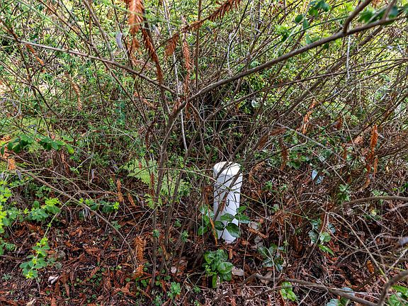 4th image of 30799 Swithenbank Ln