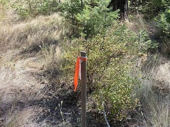 4th image of 230 High Country Rd