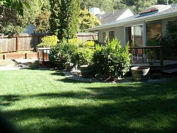 back yard