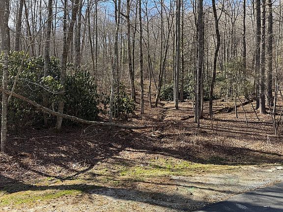 5th image of E-204 Thunder Creek Lane