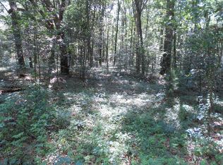 203 Combs Dr, Montezuma, GA 31063