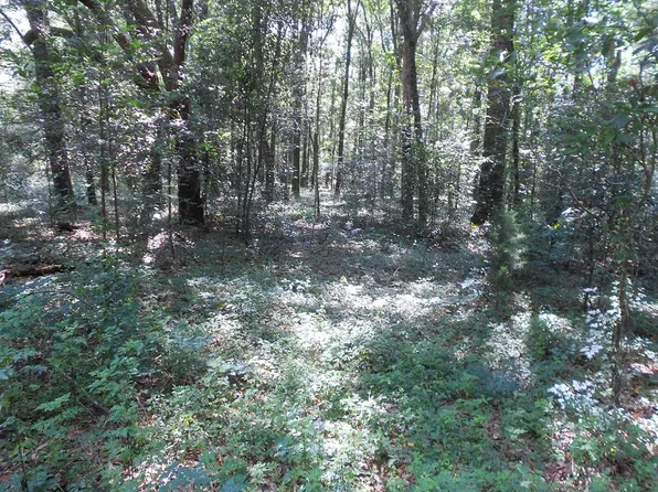 203 Combs Dr, Montezuma, GA 31063