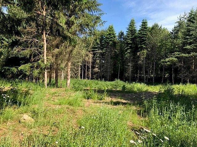 2nd image of 1510 Cranberry Pond Trl
