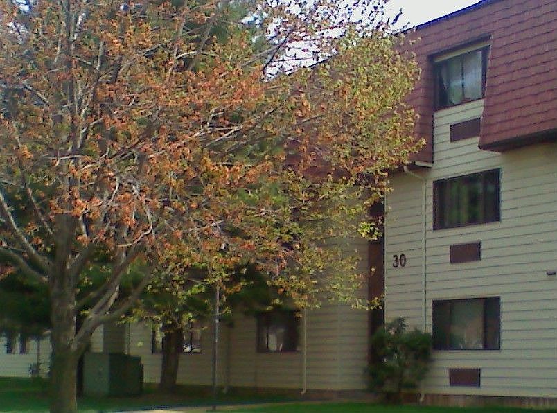Front of Condo
