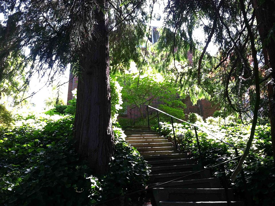 1st image of 4178 42nd Ave NE