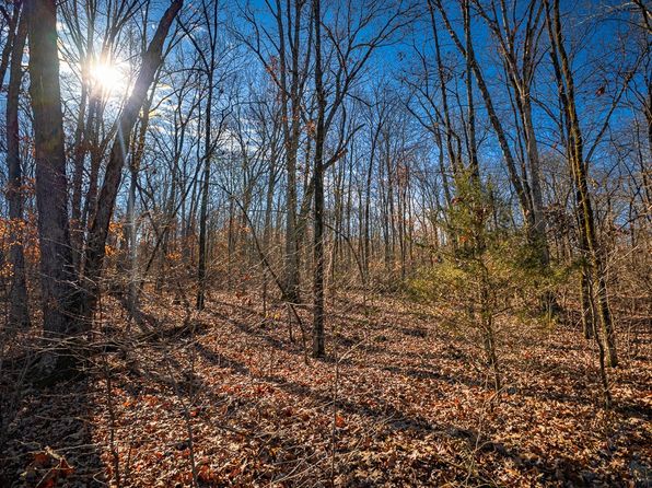 15459 Whitehouse Rd, Winslow, AR 72959