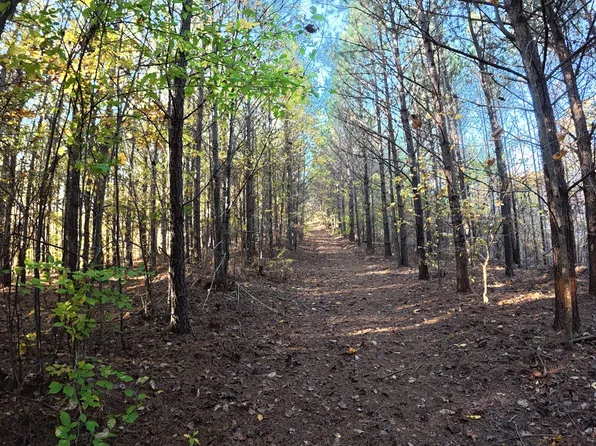 191 Vista Dr Lot 120, Linden, TN 37096