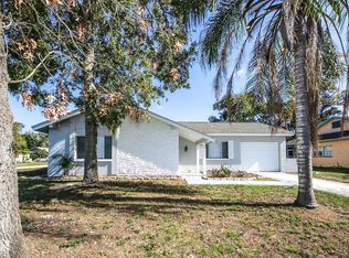 13022 Sirius Ln, Hudson, FL 34667