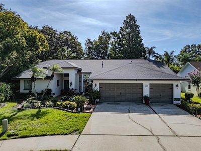 910 Kingscote Ct, Safety Harbor, FL, 34695