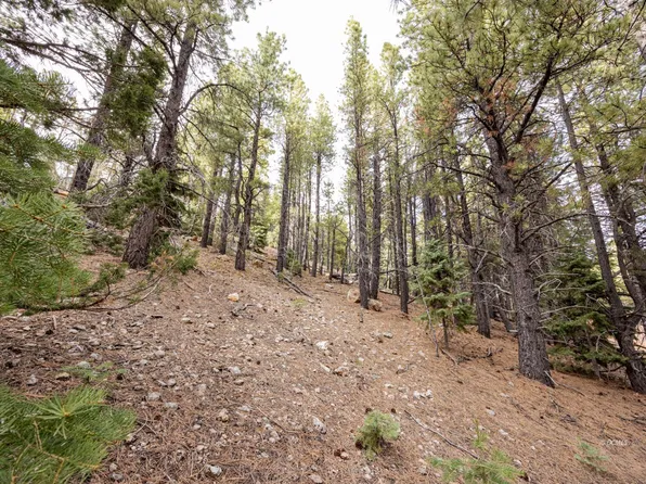 1720 E Centurion, Duck Creek Village, UT 84762