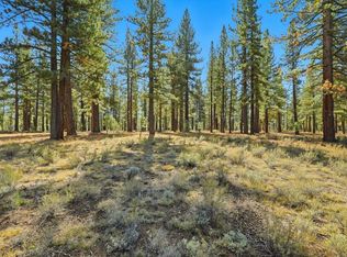 11111 Henness Rd, Truckee, CA 96161