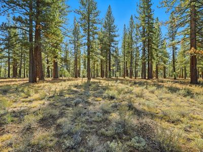 11111 Henness Rd, Truckee, CA, 96161
