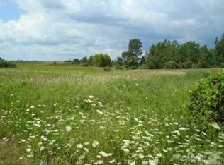 12376 Dexter Chelsea Rd, Chelsea, MI 48118