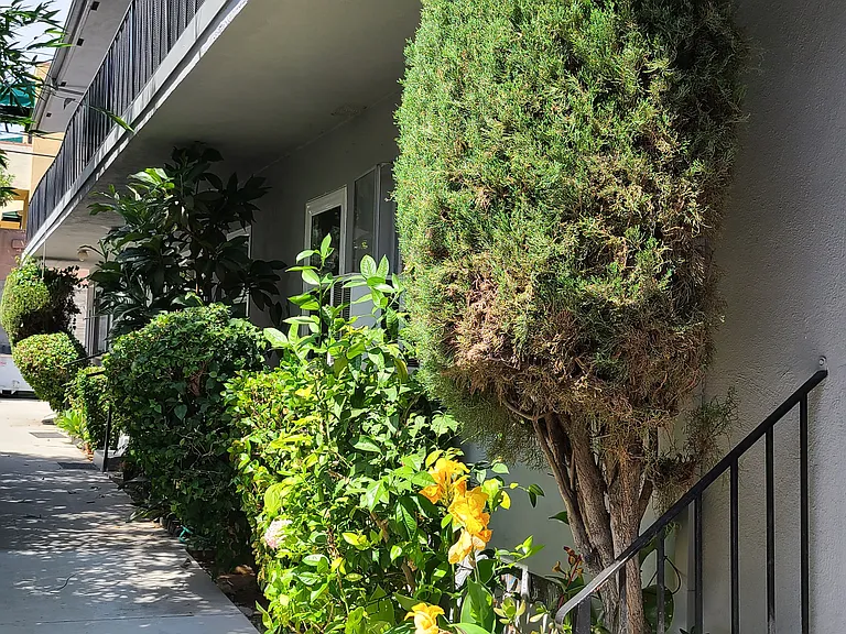 7521 Norton Ave #6 — Photo 22