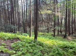 LOT 74 Indian Springs Rd, Frenchville, PA 16836