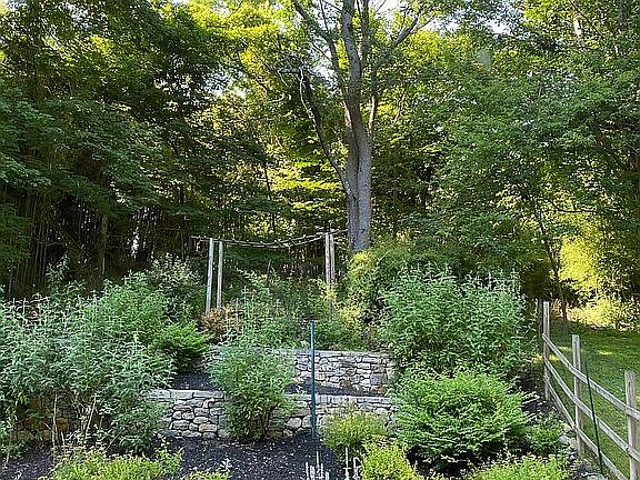 Side garden