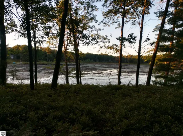 8 Chappel Woods Trl, National City, MI 48748