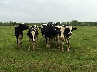 311 York St, Suffolk, VA 23434