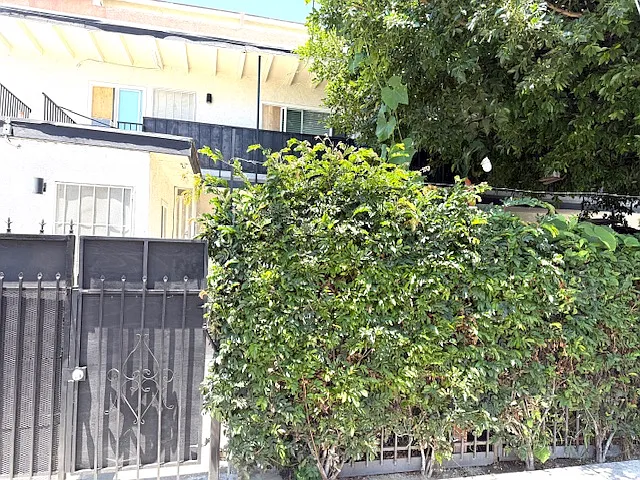 728 E Walnut St #7 — Photo 7
