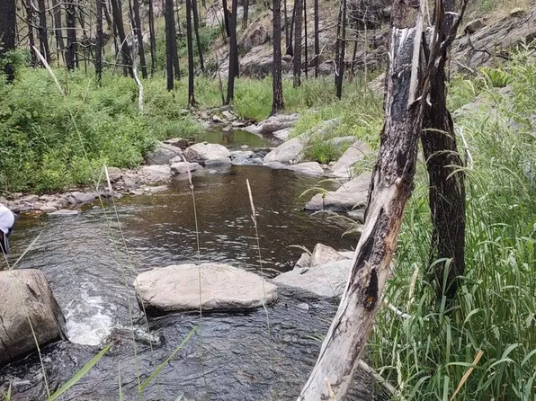 439 Redtail Ridge Way, Bellvue, CO 80512