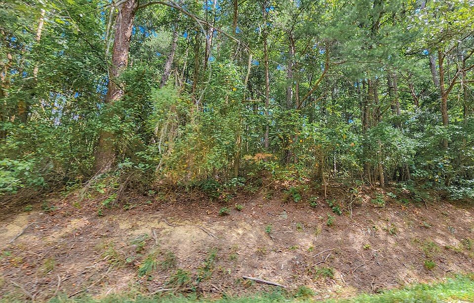 2nd image of 0 Townsend Rd