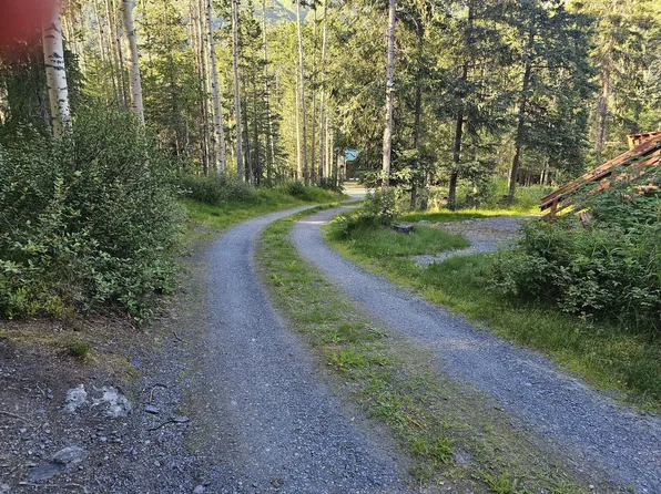 19431 Rustys Way, Cooper Landing, AK 99572