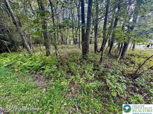 LOT 14 Bear Ln, Jim Thorpe, PA 18229