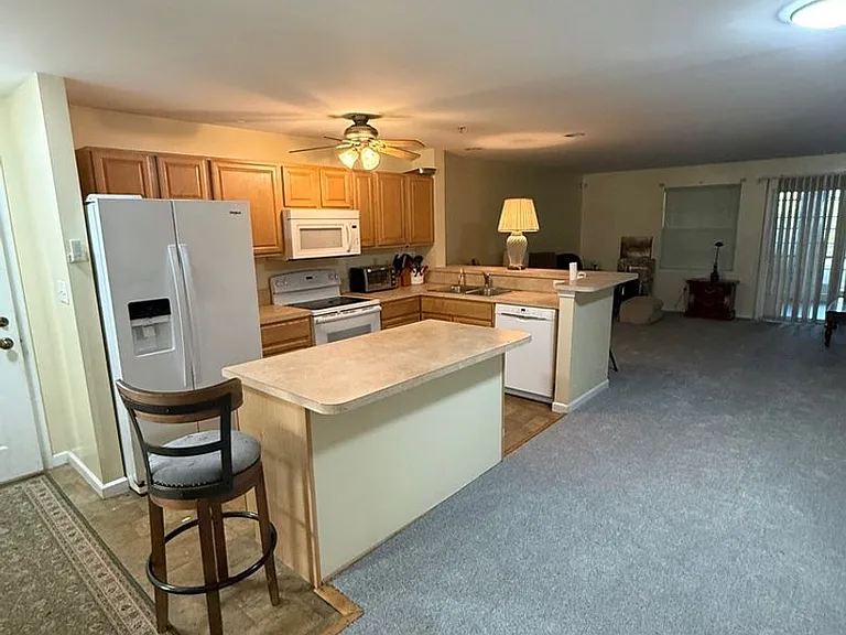 1880 Congressional Village Dr #8104 — Photo 11