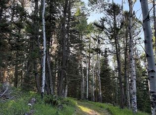 459 Ute Drive, Cimarron, CO 81220