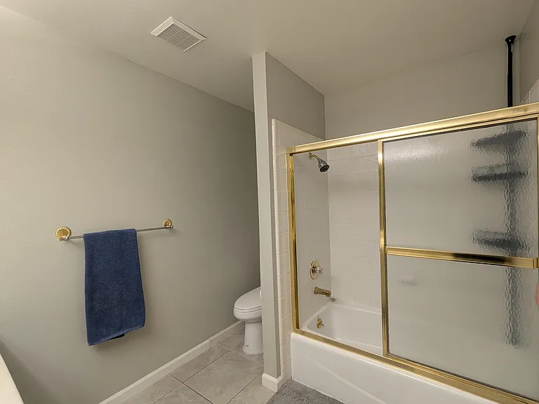 Master Bathroom - shower