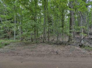 0 Buck Rd, Williamsburg, MI 49690