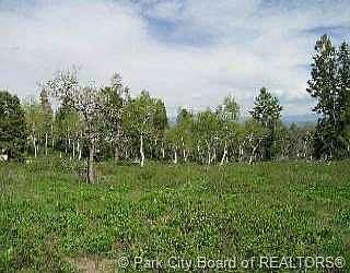 1st image of 14 Oak Rd #14-PI-I