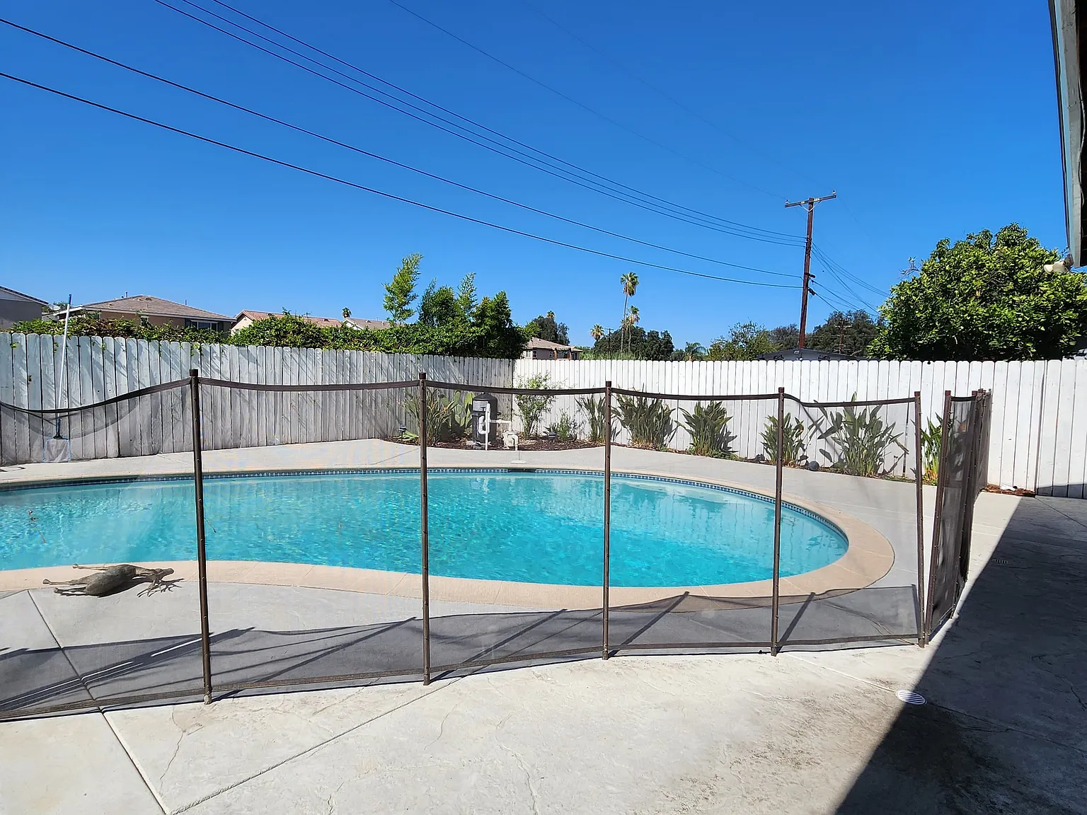 3 bed, 1400 sqft, $3,850 — Photo 2