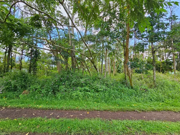 Priscilla Rd Lot 532, Pahoa, HI 96778