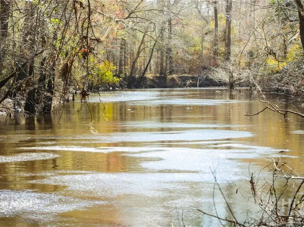 0 Tillman Eason Road, Claxton, GA 30417