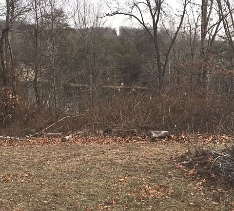 4th image of 288 Mountainview Dr