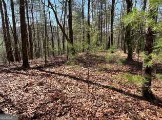 LOT 24 Pickett Mill Ln, Ellijay, GA 30540
