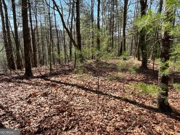 LOT 24 Pickett Mill Ln, Ellijay, GA 30540