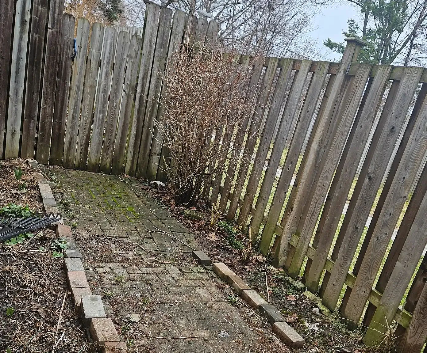 2 bed, $1,800 — Photo 3