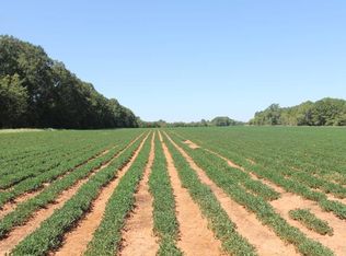 2687 Valley Rd, Lumpkin, GA 31815