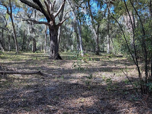 5th image of 000 HARRIS FISH CAMP Road