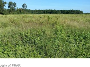 Marion Stage Rd, Fairmont, NC 28340