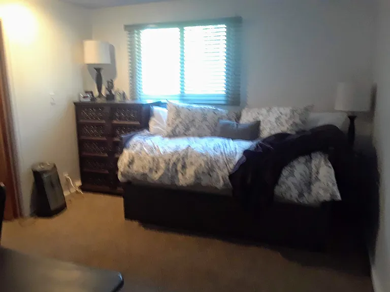 Downstairs bedroom