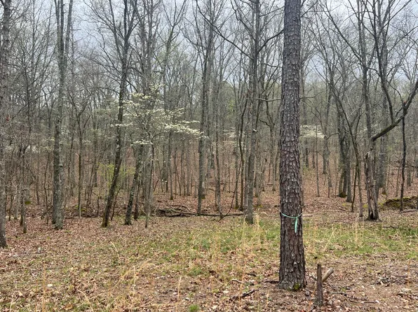 000 Tbd Highway N, Ava, MO 65608
