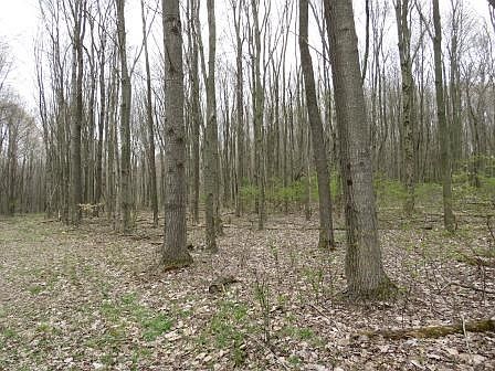 2nd image of 265 Pioneer Rd
