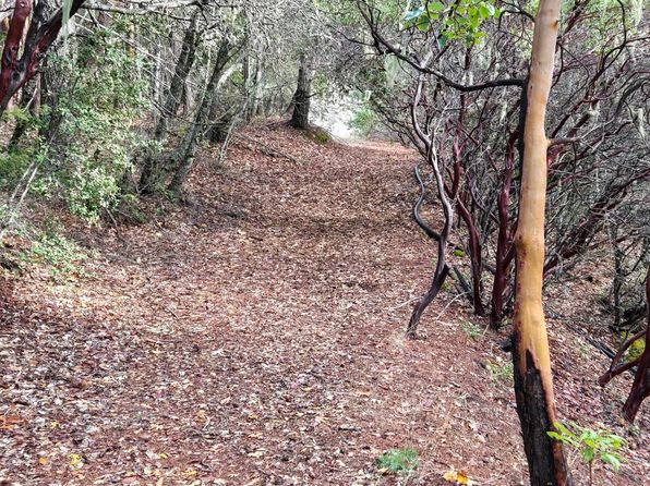 47111 Fox Rock Rd, Laytonville, CA 95454